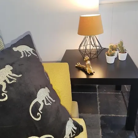 Vakantiewoning 'de Vlaamse Aap' *