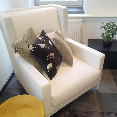 Vakantiewoning 'de Vlaamse Aap' *